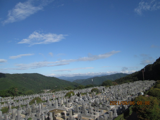 11区7番墓所から（北向き）風景