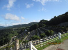 7区3番上段駐車場からの風景①