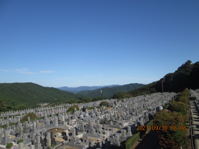 11区7番墓所から（北向き）風景