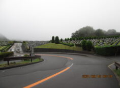 霊園北入り口から風景　濃霧・霧雨