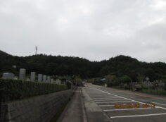 バス通り（東北向）北口バス停風景