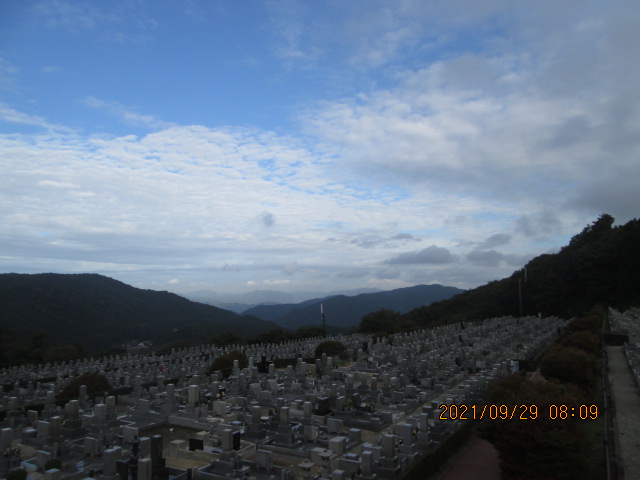 11区7番墓所から（北向き）風景