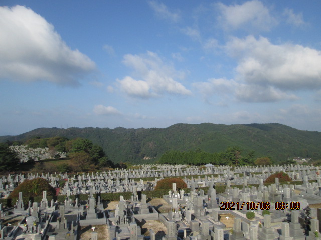 11区7番墓所から（西方向）風景