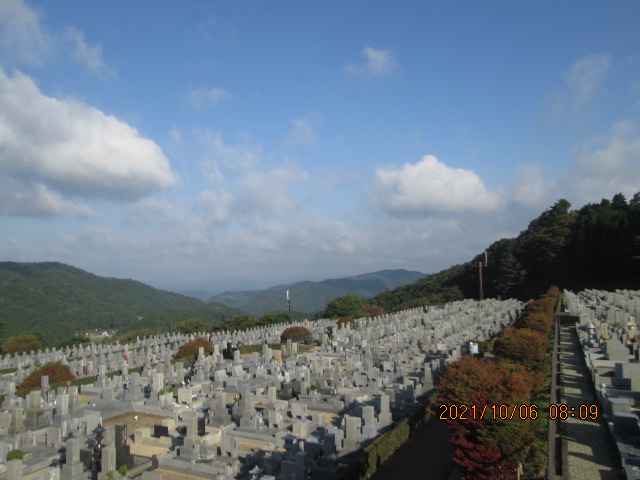 11区7番墓所から（北向き）風景