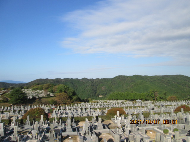 11区7番墓所から（西方向）風景