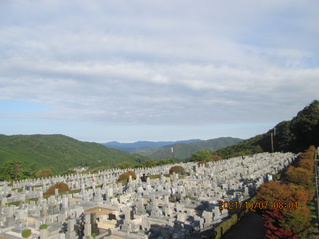 11区7番墓所から（北向）風景