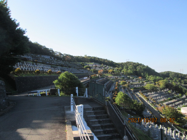 8区2/4番墓所枝道からの風景①