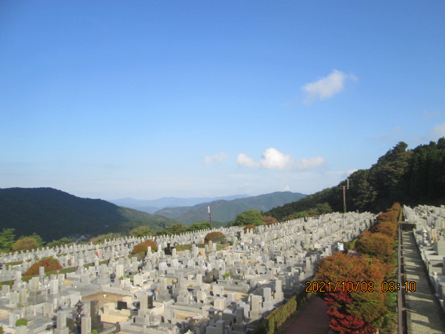 11区7番墓所から（北向き）風景