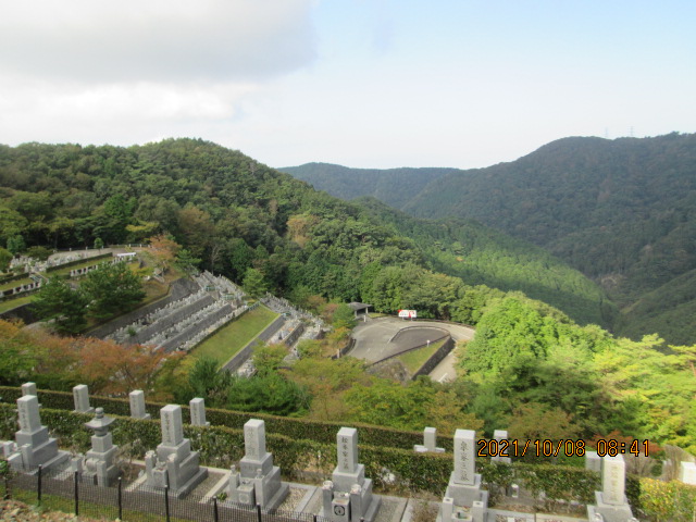 6区4/5番墓所枝道（6区バス停）風景