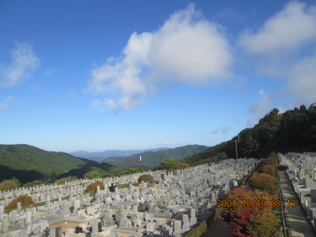 11区7番墓所から（北向き）風景