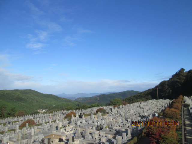 11区7番墓所から（北向き）風景