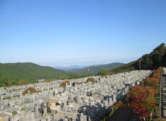 11区7番墓所から（北向き）風景