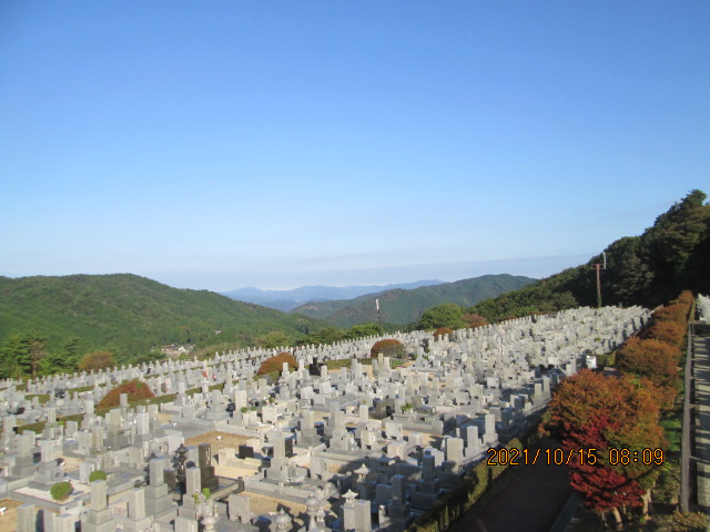 11区7番墓所から（北向き）風景