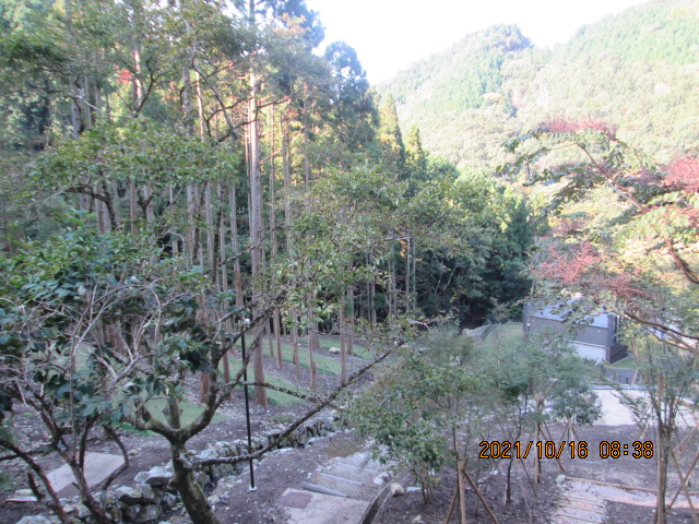 樹木葬墓地風景①　募集中