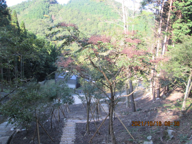 樹木葬墓地風景②　募集中