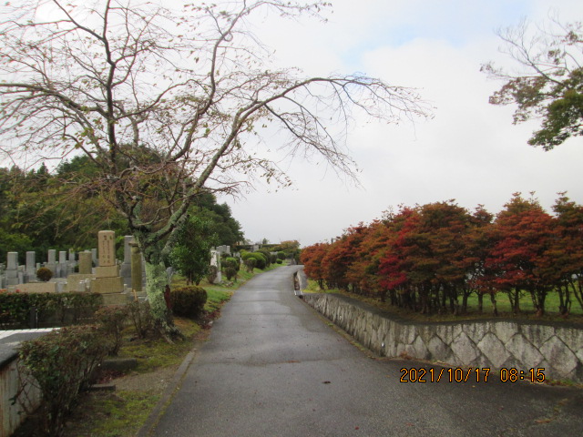 11区10番墓所.臨時駐車場風景