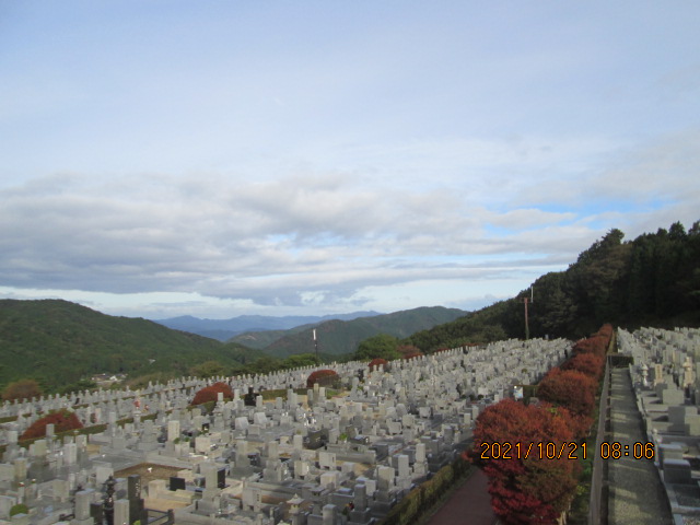 11区7番墓所から（北向き）風景