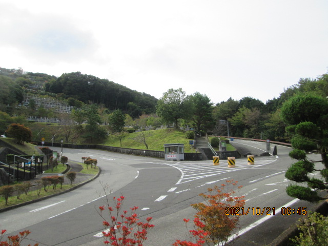 バス通り・5区バス停風景