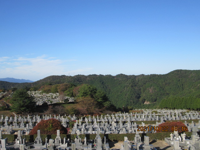 11区7番墓所から（西向き）風景