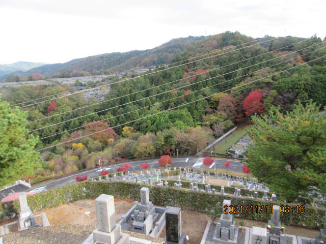 8区4/5番枝駐車場からの風景