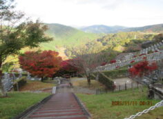 7区7番墓所上段駐車場からの風景