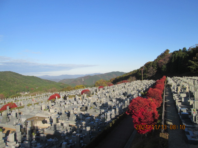 11区7番墓所から（北向き）風景