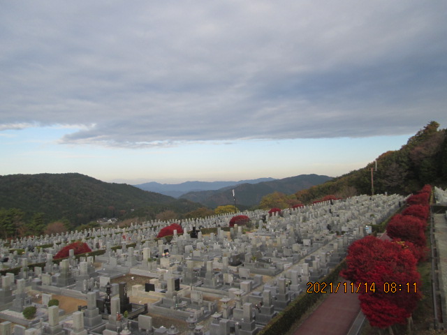 11区7番墓所から（北向き）風景