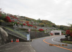 バス通り7区墓所・休憩所