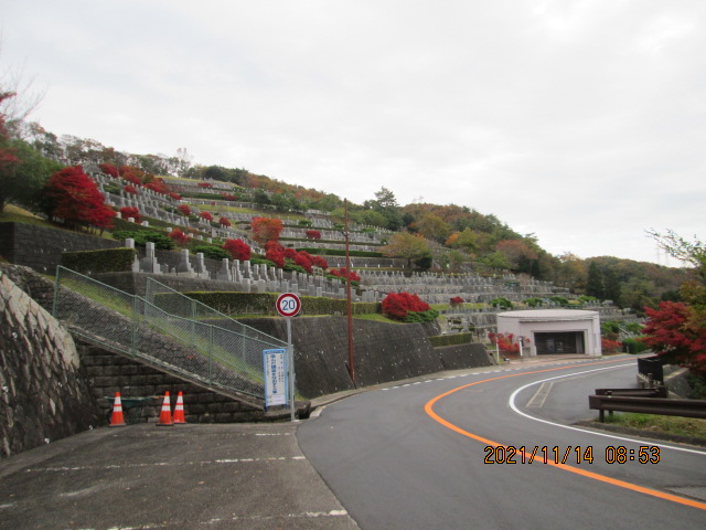 バス通り7区墓所・休憩所