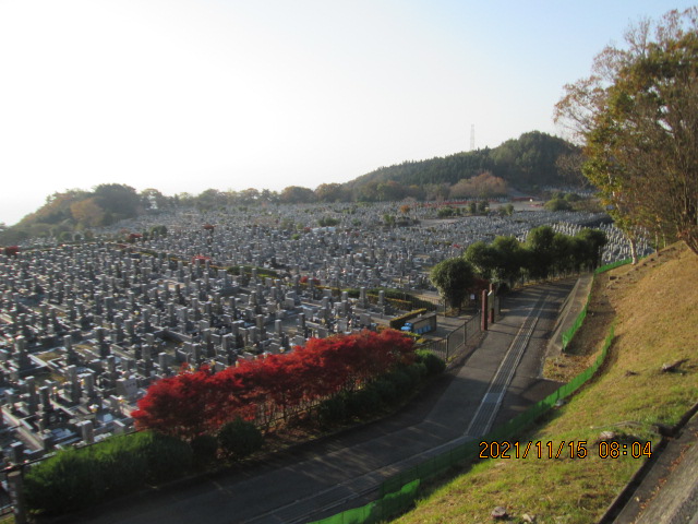 11区1番墓所から園内（南）風景