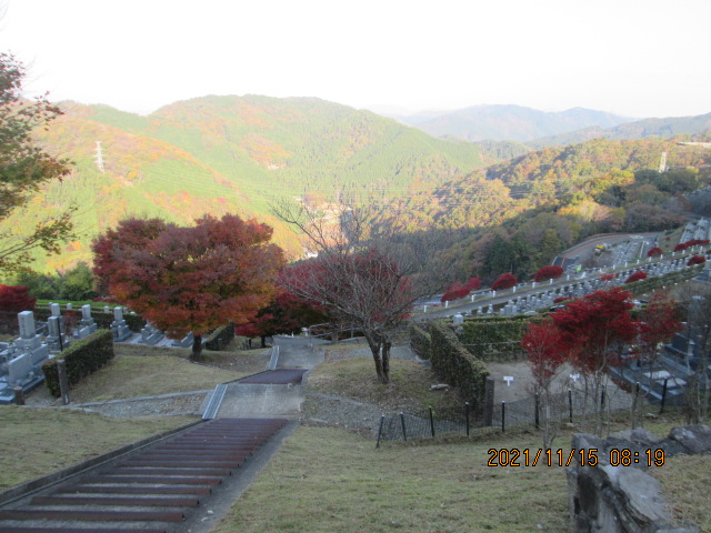 7区7番墓所上段駐車場からの風景