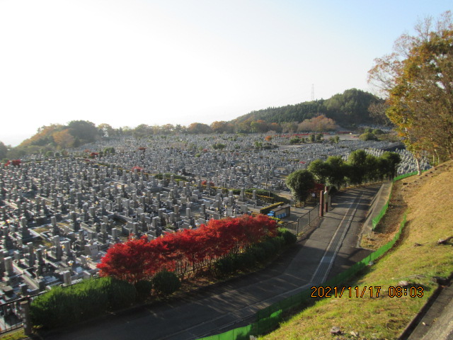 11区1番墓所から園内（南）風景