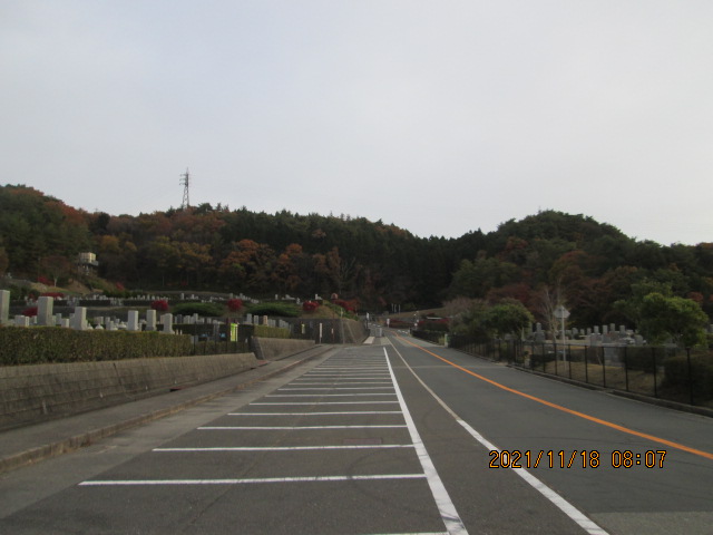 バス通り（北東向）北口バス停方向