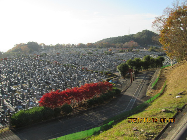 11区1番墓所から（南向き）風景