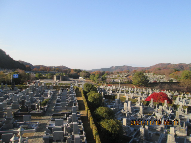 11区7番墓所から（南西）風景