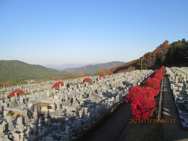 11区7番墓所から（北向き）風景