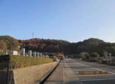 バス通り（北東方向）北口バス停風景