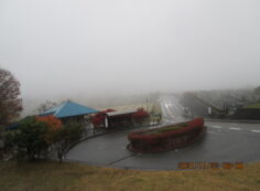 霊園北入り口から風景　雨・濃霧