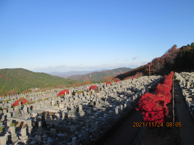 11区7番墓所から（北向き）風景