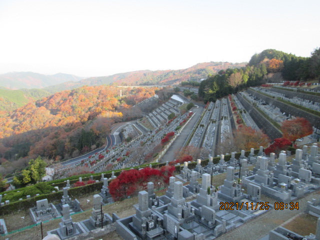 7区3番上段駐車場から階段墓域風景