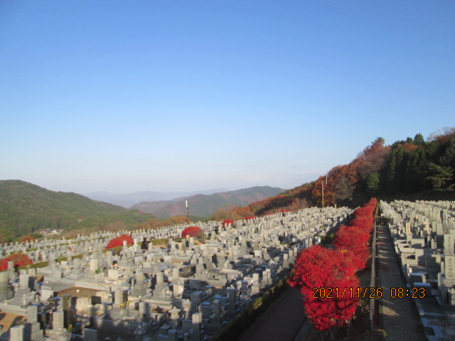 11区7番墓所から（北向き）風景