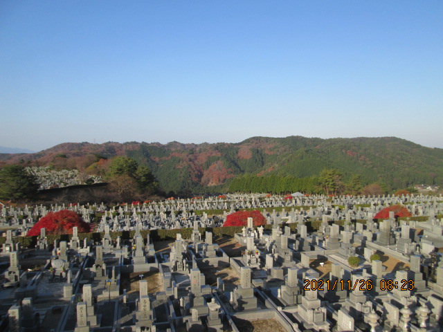 11区7番墓所から（西向き）風景