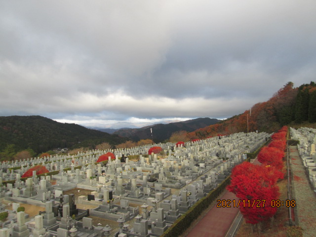 11区7番墓所から（北向き）風景