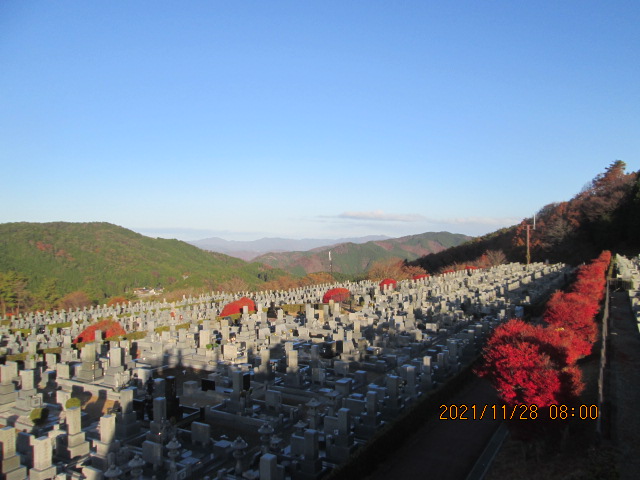 11区7番墓所から（北向き）風景