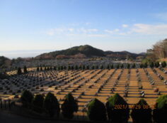 11区2番芝生墓所からの風景