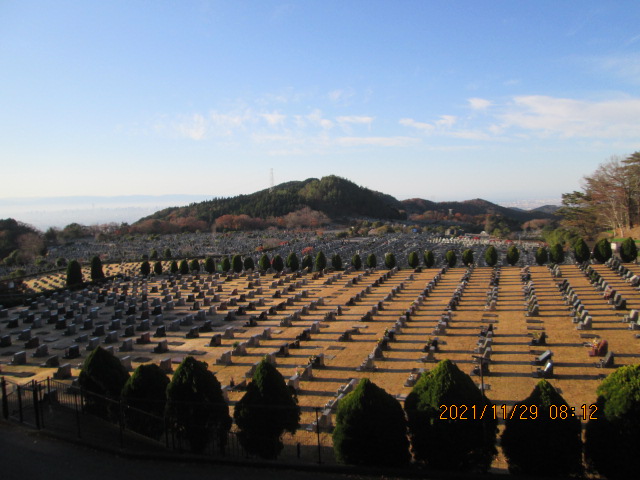 11区2番芝生墓所からの風景