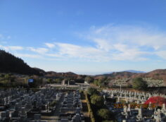 11区7番墓所から（南西向き）風景