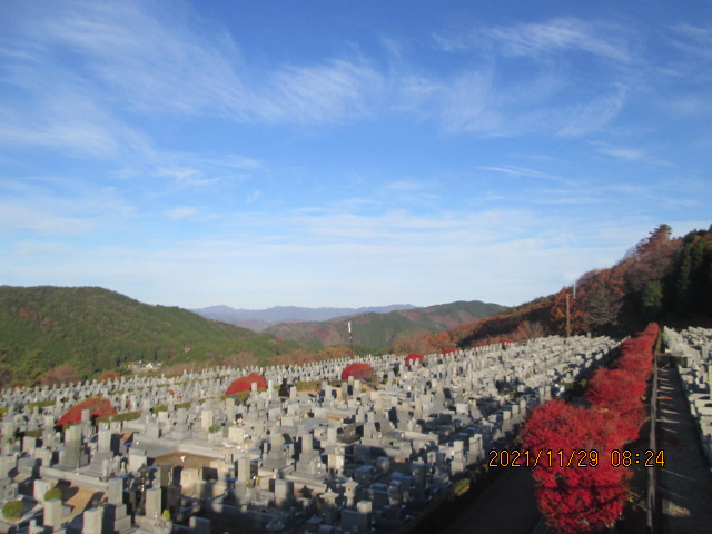 11区7番墓所から（北向き）風景