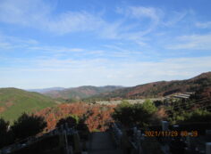 8区5番あずま家から（北方向）