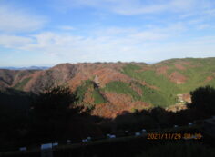 8区5番あずま家から（西方向）